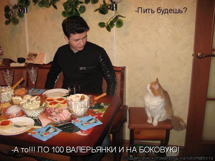 Котоматрица: -Пить будешь? -А то!!! ПО 100 ВАЛЕРЬЯНКИ И НА БОКОВУЮ!