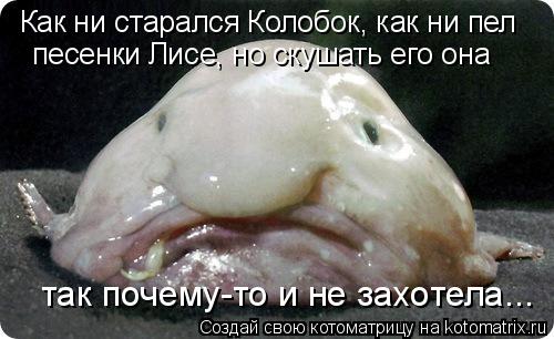 Как ни старался Колобок, как ни пел песенки Лисе, но скушать его она так почему-то и не захотела...... Котоматрица: Как ни старался Колобок, как ни пел песенки Лисе, но скушать его она так почему-то и не захотела...