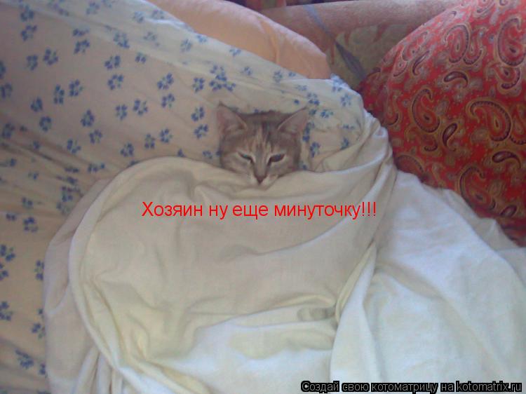 Котоматрица: Хозяин ну еще минуточку!!!