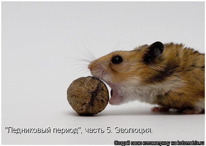 Котоматрица: "Ледниковый период", часть 5. Эволюция.