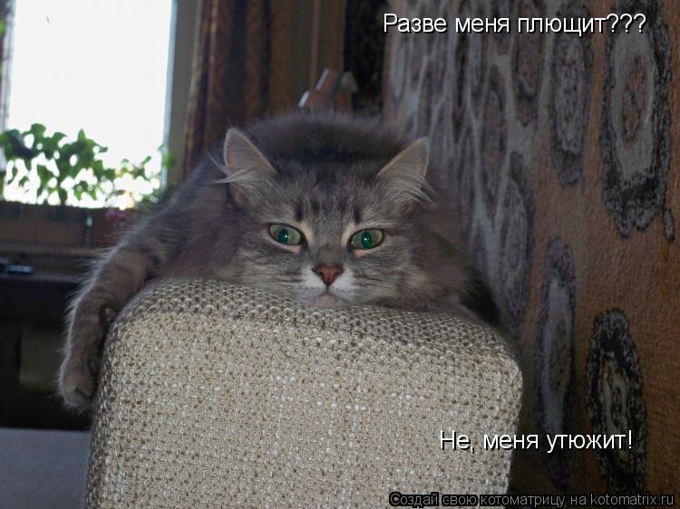 Котоматрица: Разве меня плющит??? Не, меня утюжит!
