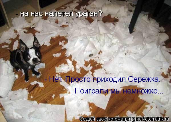 Котоматрица: - на нас налетел ураган? - Нет. Просто приходил Сережка.  Поиграли мы немножко...