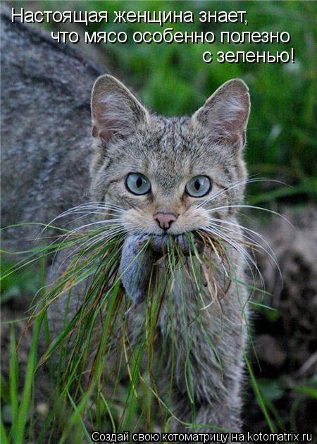 Котоматрица: Настоящая женщина знает, что мясо особенно полезно с зеленью!