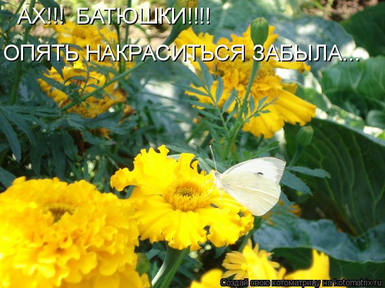 Котоматрица: АХ!!!  БАТЮШКИ!!!! ОПЯТЬ НАКРАСИТЬСЯ ЗАБЫЛА...