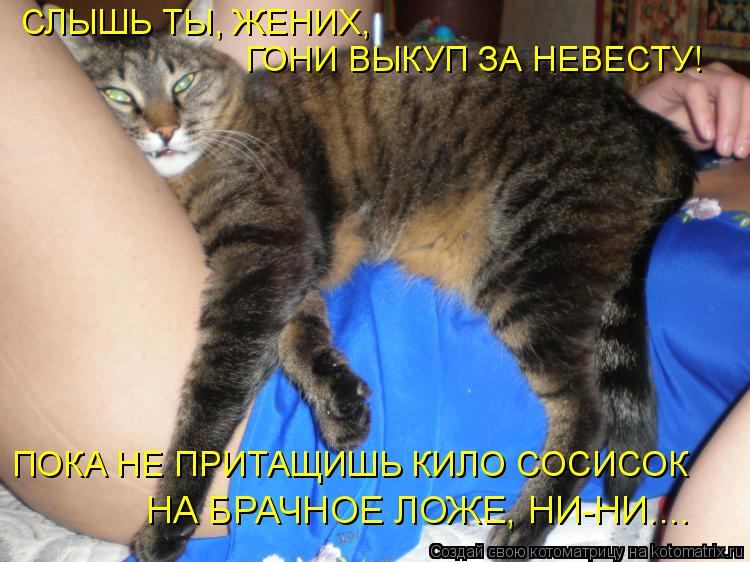 Котоматрица: СЛЫШЬ ТЫ, ЖЕНИХ, ГОНИ ВЫКУП ЗА НЕВЕСТУ! НА БРАЧНОЕ ЛОЖЕ, НИ-НИ.... ПОКА НЕ ПРИТАЩИШЬ КИЛО СОСИСОК