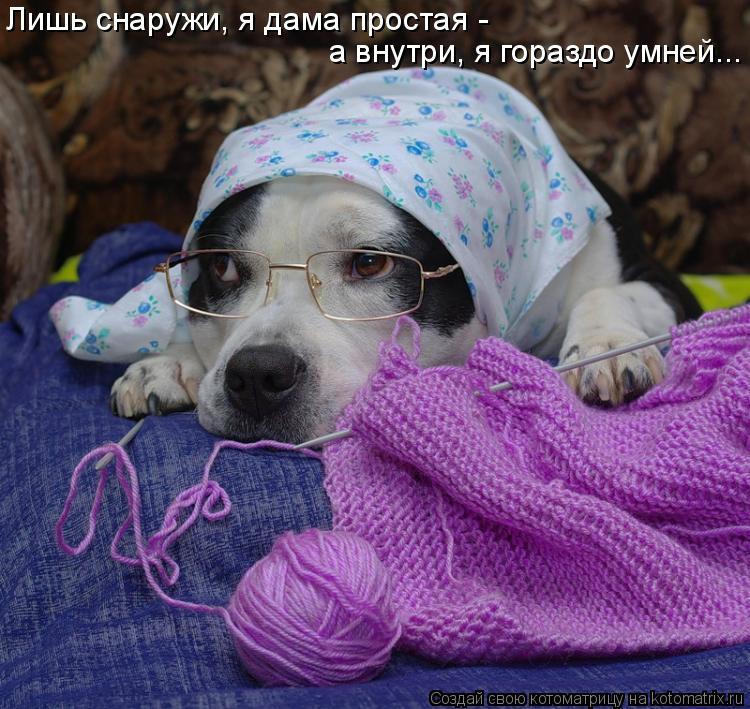 Котоматрица: Лишь снаружи, я дама простая - а внутри, я гораздо умней...