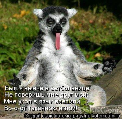 Котоматрица: Был я нынче в ветбольнице, Не поверишь мне,друг мой: Во-о-от такенною иглой! Мне укол в язык влепили