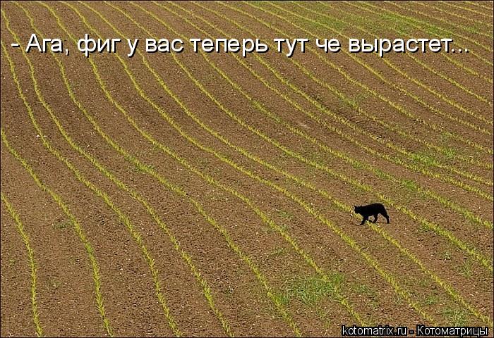 - Ага, фиг у вас теперь тут че вырастет...... Котоматрица: - Ага, фиг у вас теперь тут че вырастет...