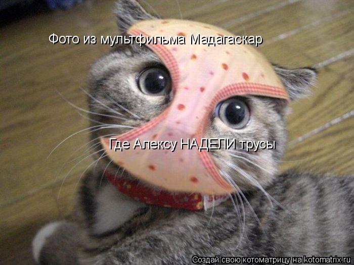 Котоматрица: Фото из мультфильма Мадагаскар Где Алексу НАДЕЛИ трусы