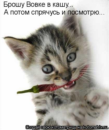 Котоматрица: Брошу Вовке в кашу... А потом спрячусь и посмотрю...
