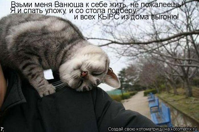 Котоматрица: Взьми меня Ванюша к себе жить, не пожалеешь! Я и спать уложу, и со стола подберу,  и всех КЫРС из дома выгоню!