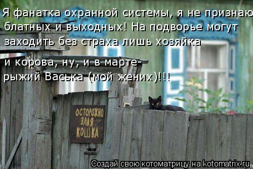 Котоматрица: Я фанатка охранной системы, я не признаю  блатных и выходных! На подворье могут заходить без страха лишь хозяйка и корова, ну, и в марте- рыжи