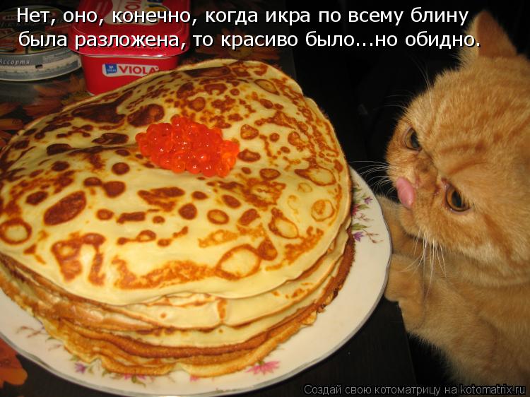 Котоматрица: Нет, оно, конечно, когда икра по всему блину была разложена, то красиво было...но обидно.