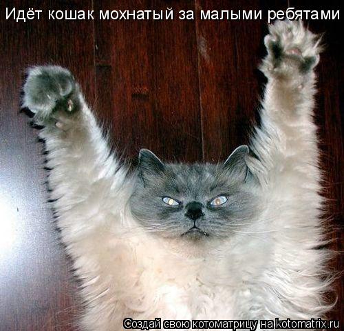 Котоматрица: Идёт кошак мохнатый за малыми ребятами ...