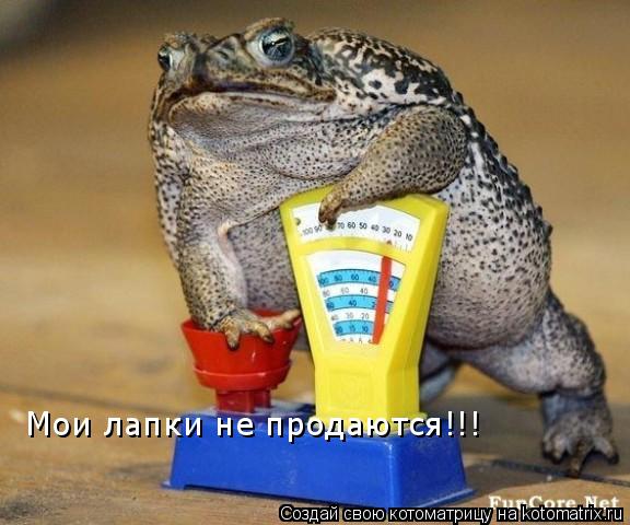 Котоматрица: Мои лапки не продаются!!!