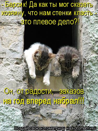 - Барсик! Да как ты мог сказать хозяину, что нам стенки класть - это плевое дело?! Он, от радости, ... Котоматрица: - Барсик! Да как ты мог сказать хозяину, что нам стенки класть - это плевое дело?! Он, от радости, заказов на год вперед набрал!!!