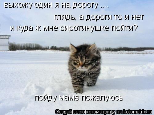 Котоматрица: выхожу один я на дорогу .... глядь, а дороги то и нет и куда ж мне сиротинушке пойти? пойду маме пожалуюсь