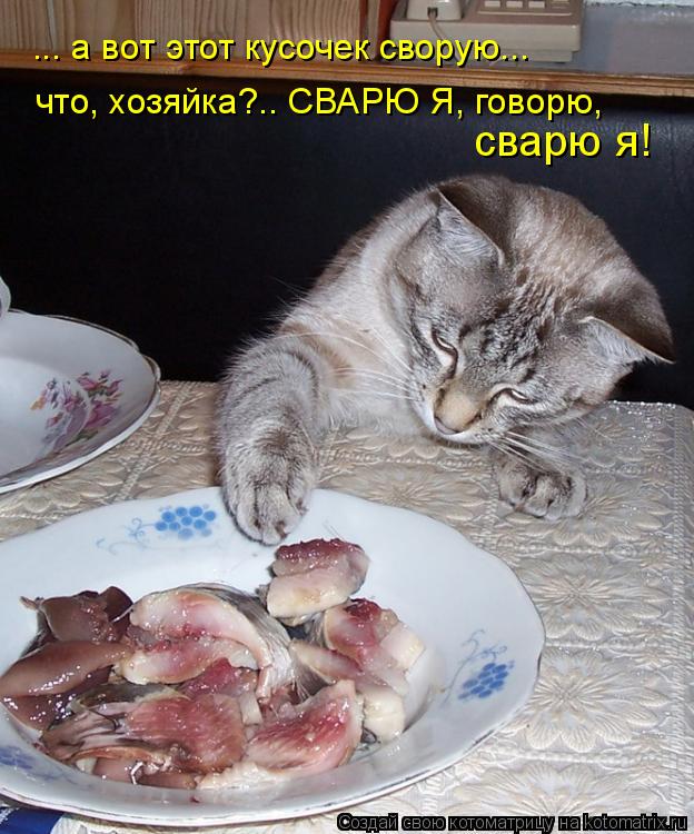 ... а вот этот кусочек сворую... что, хозяйка?.. СВАРЮ Я, говорю, сварю я!... Котоматрица: ... а вот этот кусочек сворую... что, хозяйка?.. СВАРЮ Я, говорю, сварю я!