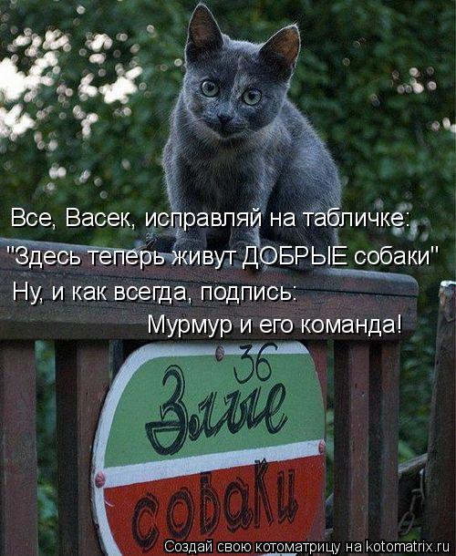 Котоматрица: Все, Васек, исправляй на табличке: "Здесь теперь живут ДОБРЫЕ собаки" Ну, и как всегда, подпись: Мурмур и его команда!