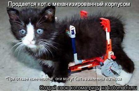 Продается кот с механизированный корпусом *При отказе конечностей, они могут быть заменены колесом... Котоматрица: Продается кот с механизированный корпусом *При отказе конечностей, они могут быть заменены колесом