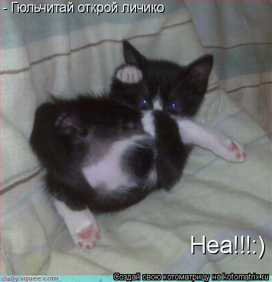 - Гюльчитай открой личико Неа!!!:)... Котоматрица: - Гюльчитай открой личико Неа!!!:)