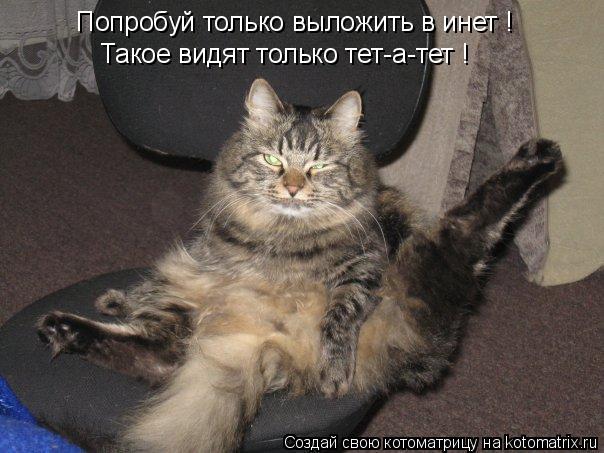 Попробуй только выложить в инет ! Такое видят только тет-а-тет !... Котоматрица: Попробуй только выложить в инет ! Такое видят только тет-а-тет !
