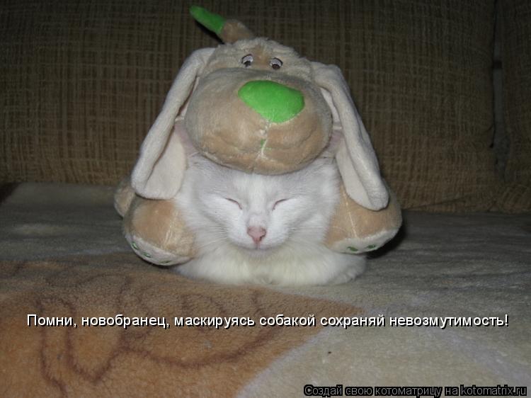 Котоматрица: Он зн Помни, новобранец, маскируясь собакой сохраняй невозмутимость!