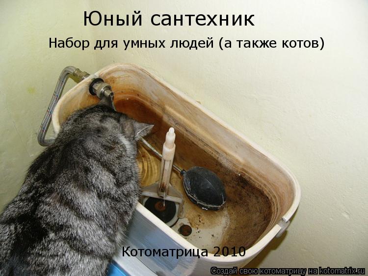 Котоматрица: Юный сантехник Набор для умных людей (а также котов) Котоматрица 2010