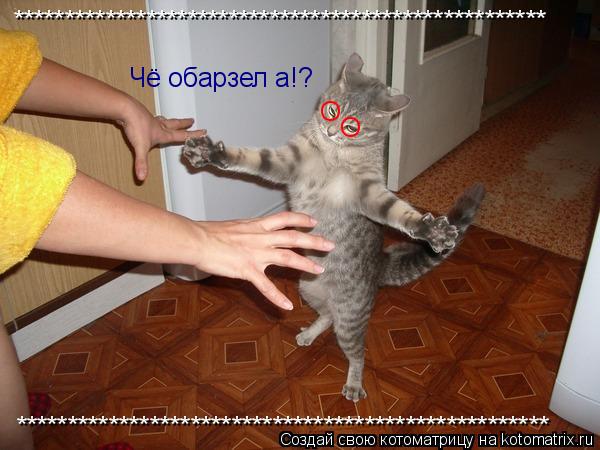 Котоматрица: **************************************************** **************************************************** О О Чё обарзел а!?