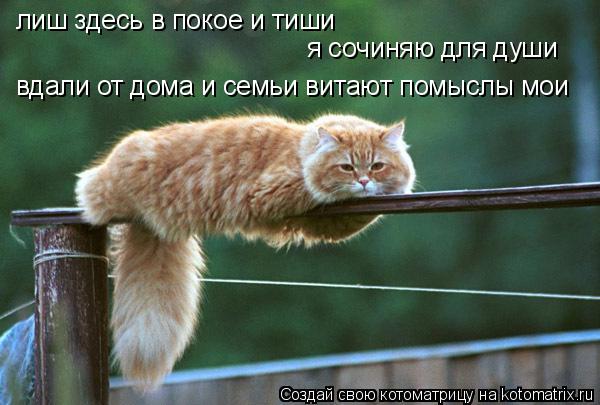 лиш здесь в покое и тиши я сочиняю для души вдали от дома и семьи витают помыслы мои... Котоматрица: лиш здесь в покое и тиши я сочиняю для души вдали от дома и семьи витают помыслы мои