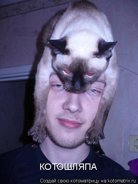 КОТОШЛЯПА... Котоматрица: КОТОШЛЯПА