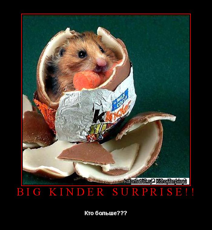 Котоматрица: BIG Kinder Surprise!! Кто больше???