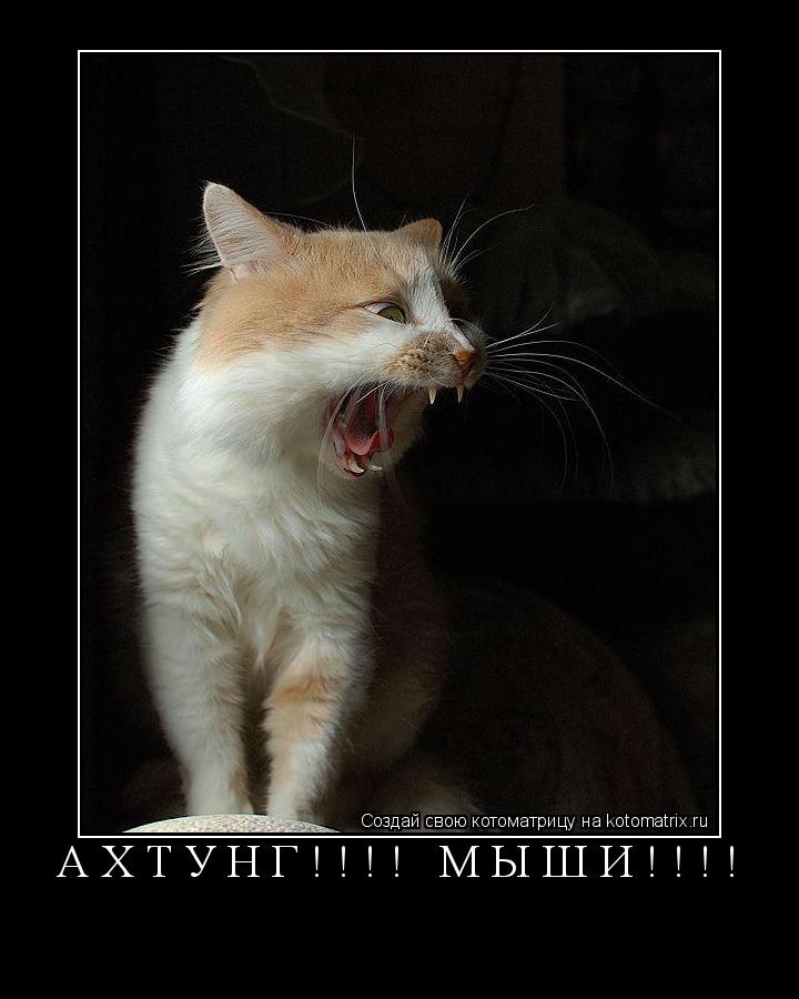 Котоматрица: АХТУНГ!!!! МЫШИ!!!! 