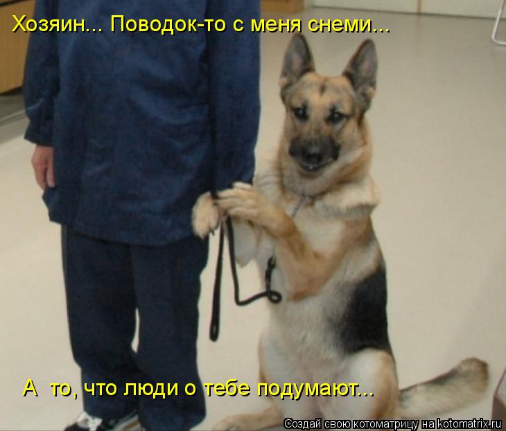 Котоматрица: Хозяин... Поводок-то с меня снеми... А  то, что люди о тебе подумают...