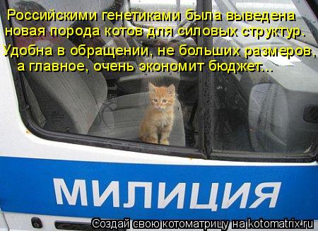 Котоматрица: Российскими генетиками была выведена новая порода котов для силовых структур. Удобна в обращении, не больших размеров, а главное, очень эко