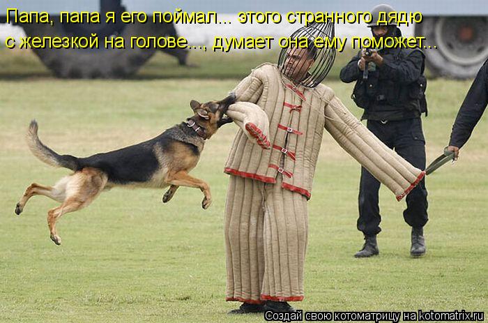 Котоматрица: Папа, папа я его поймал... этого странного дядю  с железкой на голове..., думает она ему поможет...