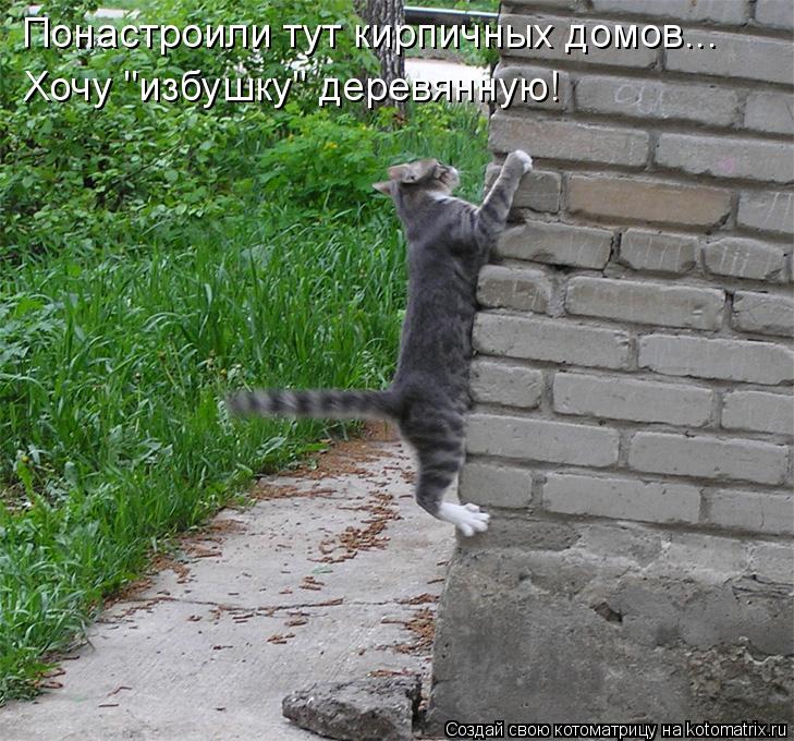 Понастроили тут кирпичных домов... Хочу "избушку" деревянную!... Котоматрица: Понастроили тут кирпичных домов... Хочу "избушку" деревянную!