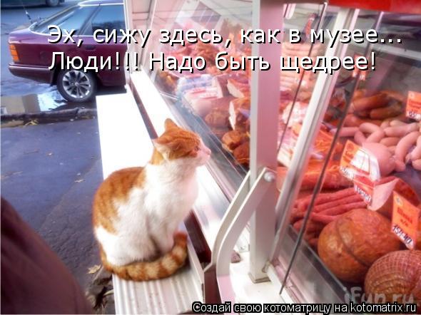 Эх, сижу здесь, как в музее... Люди!!! Надо быть щедрее!... Котоматрица: Эх, сижу здесь, как в музее... Люди!!! Надо быть щедрее!