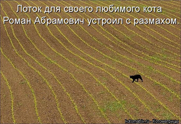 Лоток для своего любимого кота Роман Абрамович устроил с размахом.... Котоматрица: Лоток для своего любимого кота Роман Абрамович устроил с размахом.