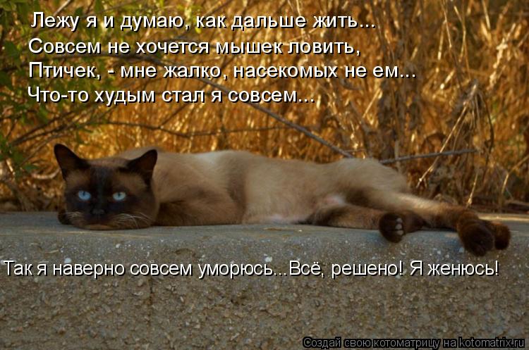 Лежу я и думаю, как дальше жить... Птичек, - мне жалко, насекомых не ем... Что-то худым стал я совсем... Котоматрица: Лежу я и думаю, как дальше жить... Птичек, - мне жалко, насекомых не ем... Что-то худым стал я совсем... Совсем не хочется мышек ловить, Так я навер