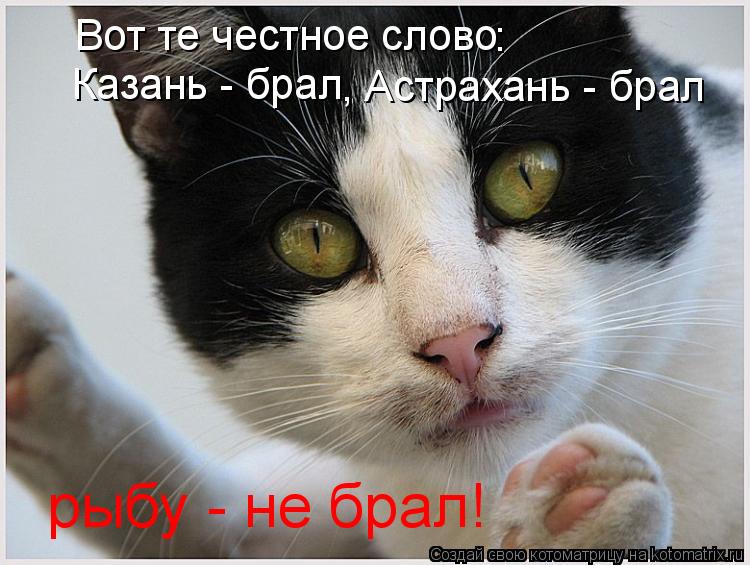 Вот те честное слово : Казань - брал , Астрахань - брал рыбу - не брал!... Котоматрица: Вот те честное слово : Казань - брал , Астрахань - брал рыбу - не брал!