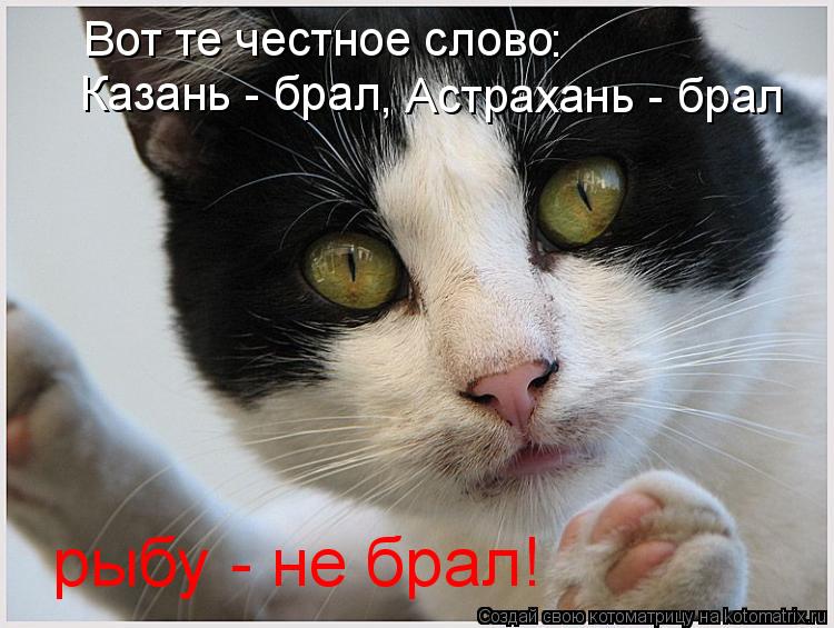 Котоматрица: Вот те честное слово : Казань - брал , Астрахань - брал рыбу - не брал!