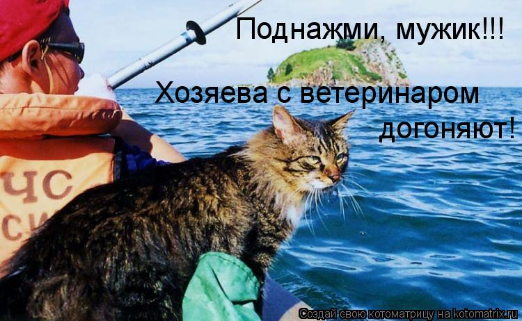 Хозяева с ветеринаром догоняют! Поднажми, мужик!!!... Котоматрица: Хозяева с ветеринаром догоняют! Поднажми, мужик!!!
