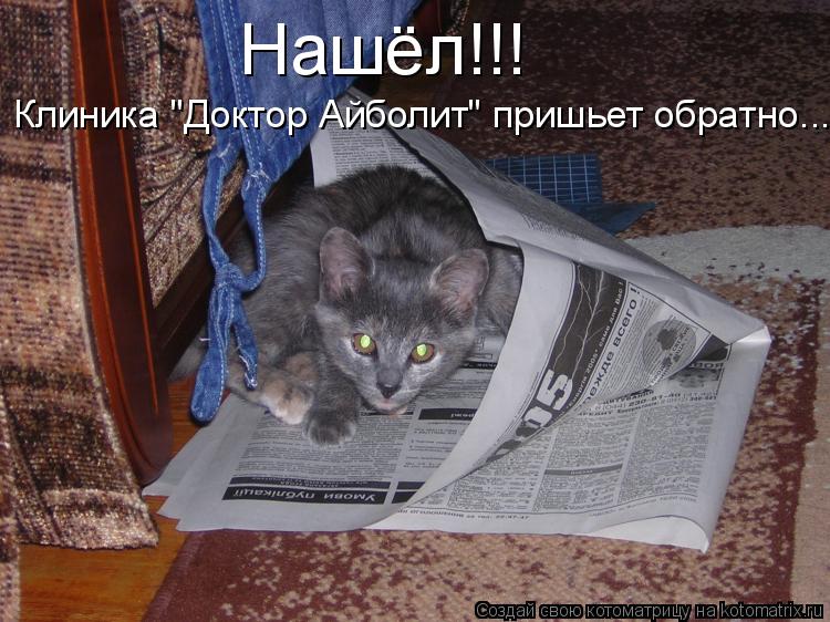 Котоматрица: Нашёл!!! Клиника "Доктор Айболит" пришьет обратно...