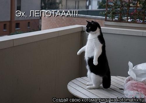 Эх, ЛЕПОТААА!!!... Котоматрица: Эх, ЛЕПОТААА!!!