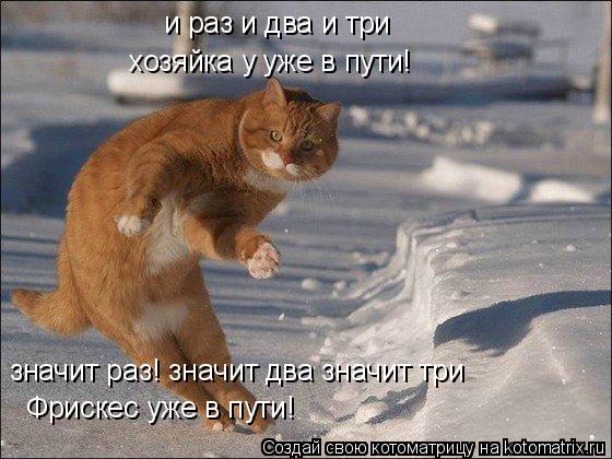 и раз и два и три хозяйка у уже в пути! значит раз! значит два значит три Фрискес уже в пути!... Котоматрица: и раз и два и три хозяйка у уже в пути! значит раз! значит два значит три Фрискес уже в пути!