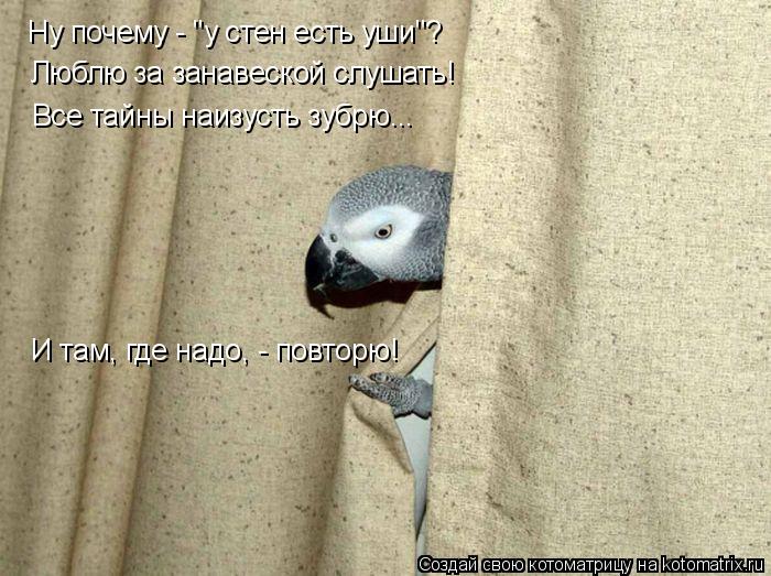 Ну почему - "у стен есть уши"? Люблю за занавеской слушать! Все тайны наизусть зубрю... И там, где на... Котоматрица: Ну почему - "у стен есть уши"? Люблю за занавеской слушать! Все тайны наизусть зубрю... И там, где надо, - повторю!