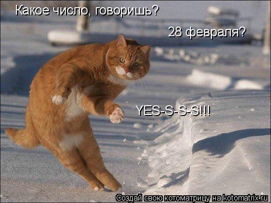 Котоматрица: Какое число, говоришь? 28 февраля? YES-S-S-S!!!