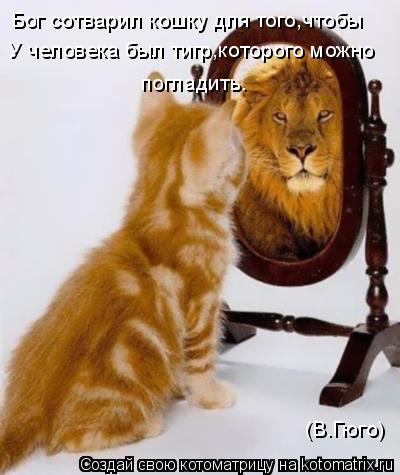 Котоматрица: Бог сотварил кошку для того,чтобы  У человека был тигр,которого можно  погладить. (В.Гюго)