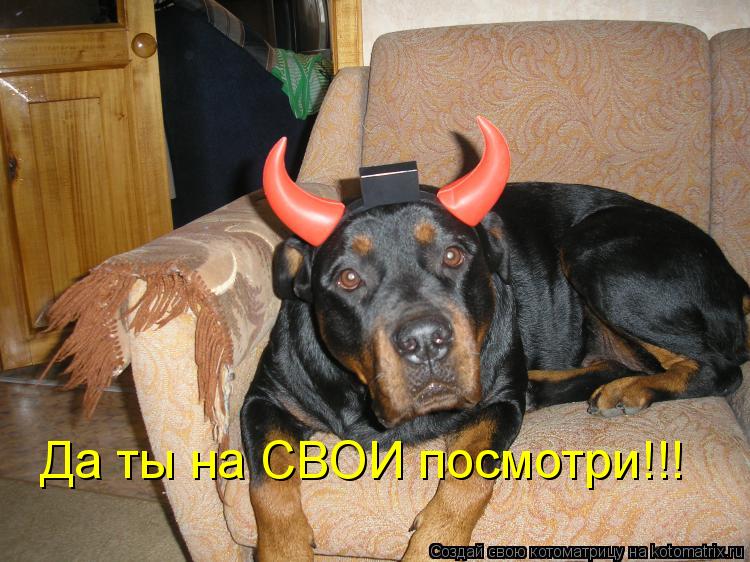 Котоматрица: Да ты на СВОИ посмотри!!!